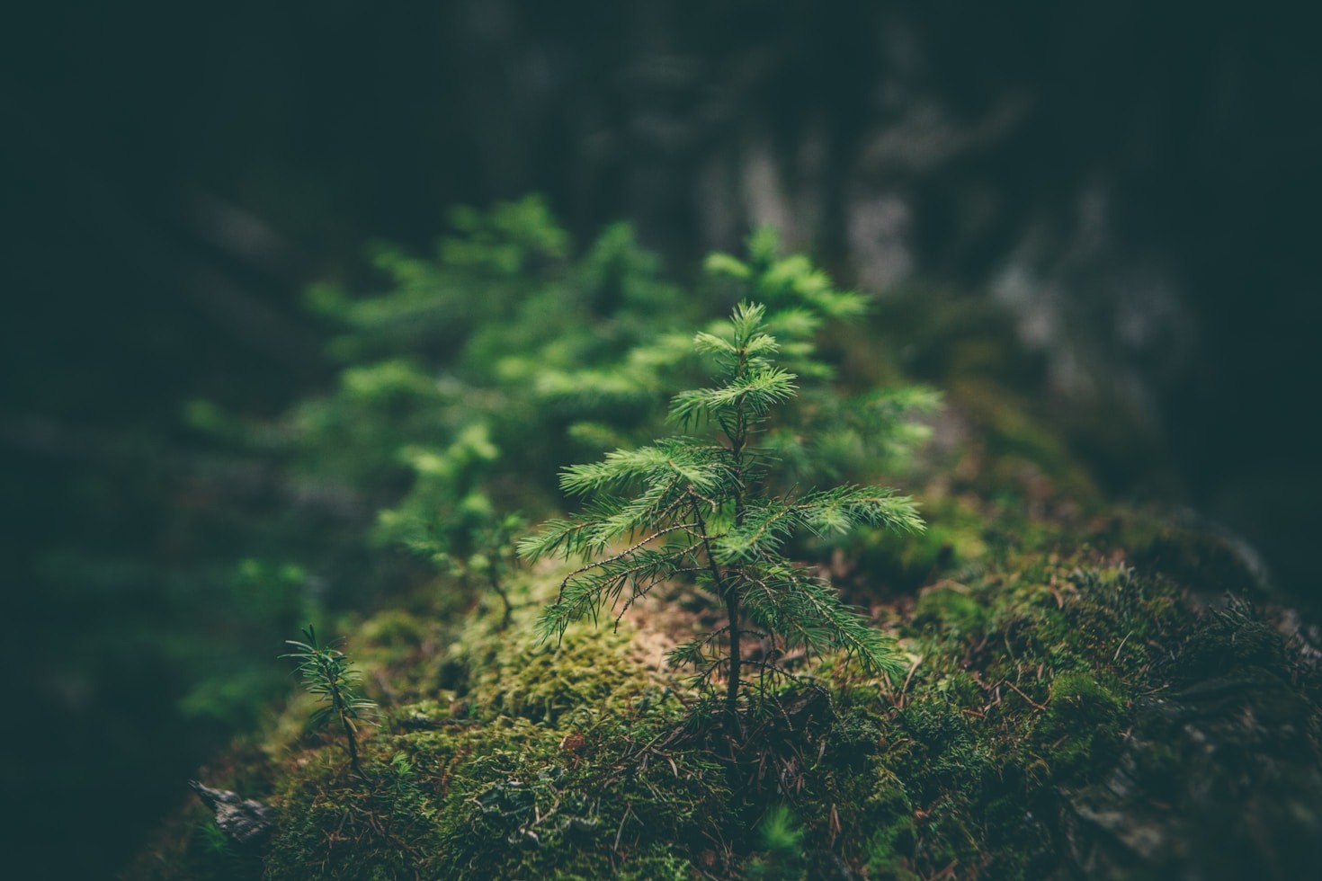 The Art of Finding Beauty in the Mundane