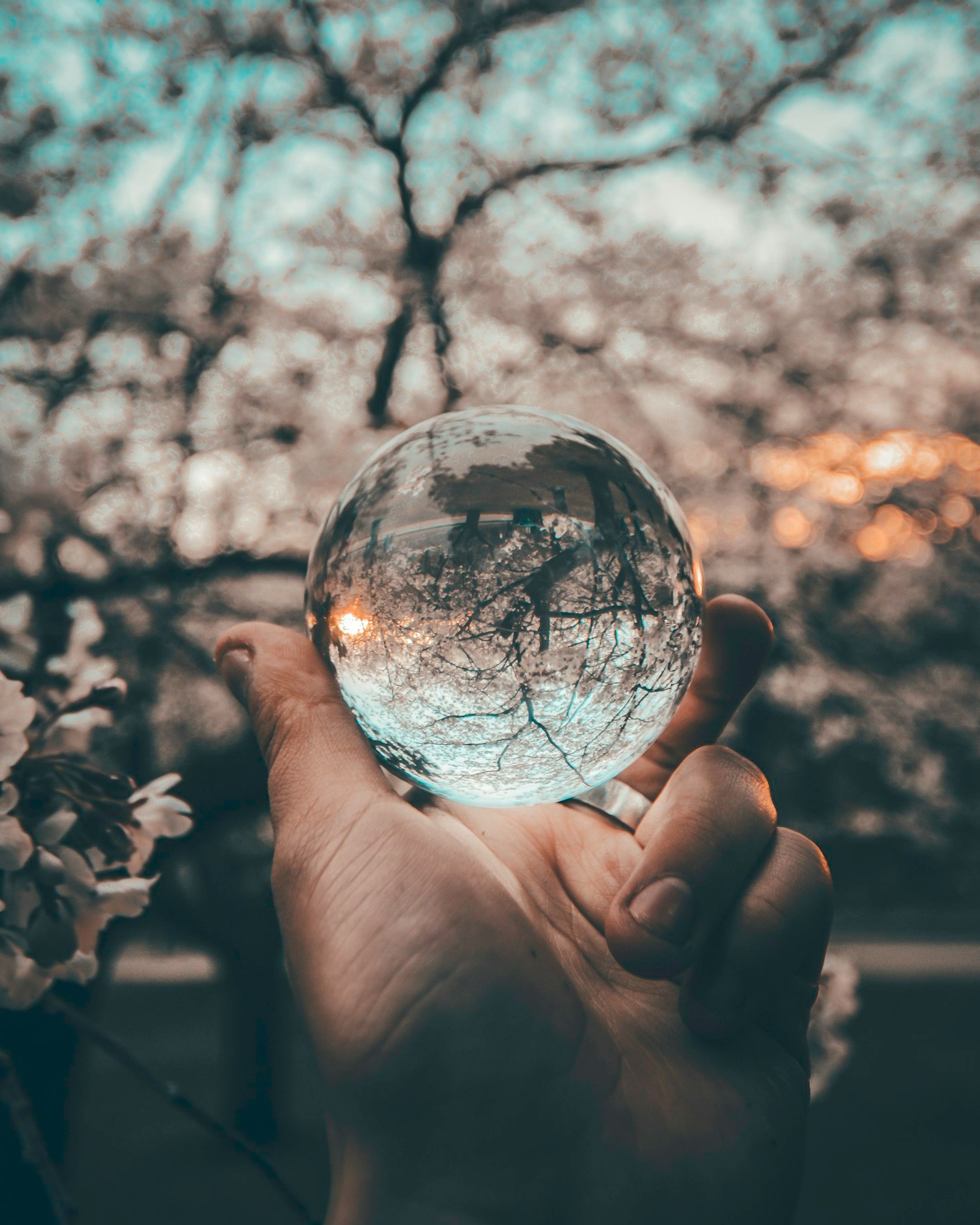 Lessons Learned from Everyday Challenges
