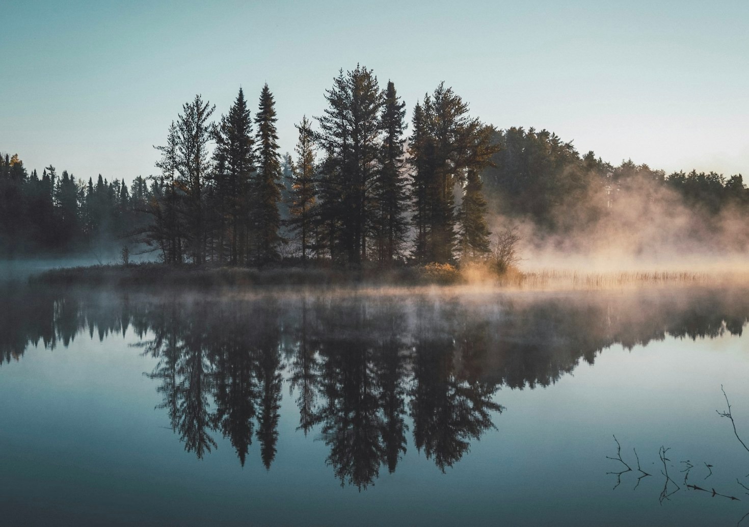 A Journey Through Life’s Subtle Wonders